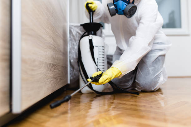 Best Mosquito Control Services  in North Plainfield, NJ