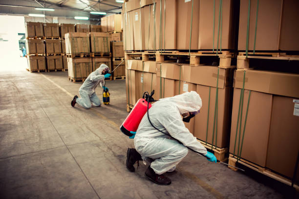 Reliable North Plainfield, NJ Pest Control Solutions