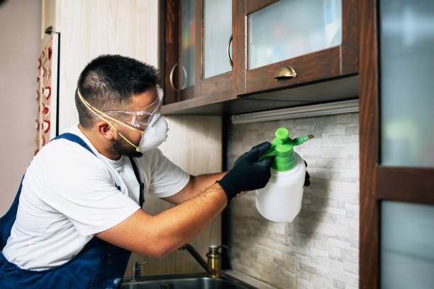Best Wasp Removal Services  in North Plainfield, NJ