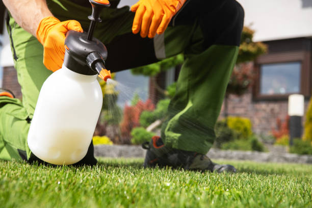 Best Spider Control Near Me  in North Plainfield, NJ