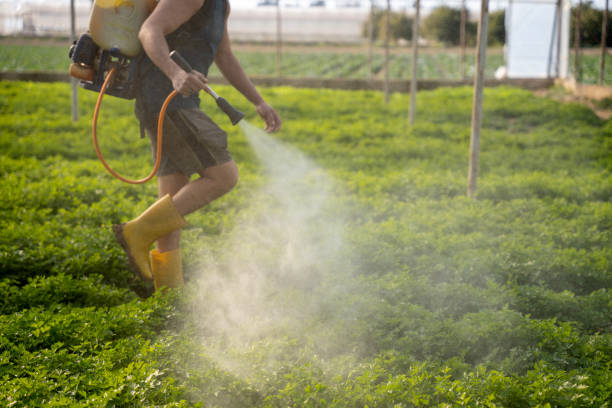 Best Pest Control Near Me  in North Plainfield, NJ
