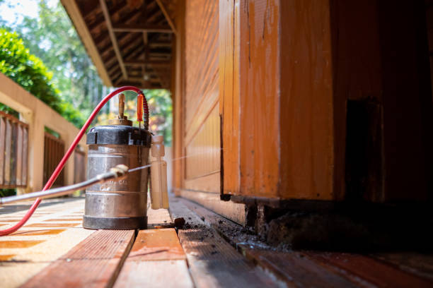 Best Ant Control Services  in North Plainfield, NJ