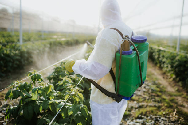 Best Mosquito Control Services  in North Plainfield, NJ